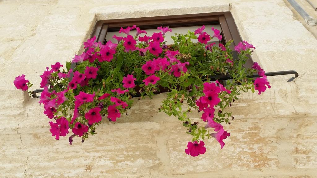 Borgo Antico Daire Monopoli Dış mekan fotoğraf
